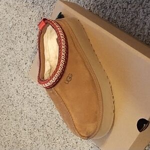 UGG Tazz slipper Chestnut (women's)